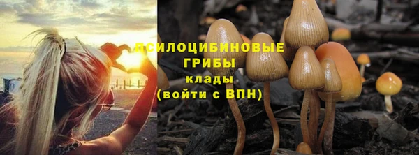 бутират Белоозёрский