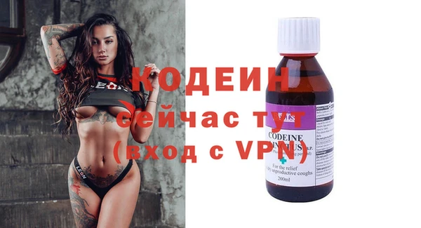 гашик Елизово
