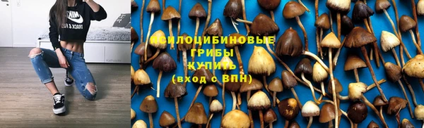 Альфа ПВП Беломорск