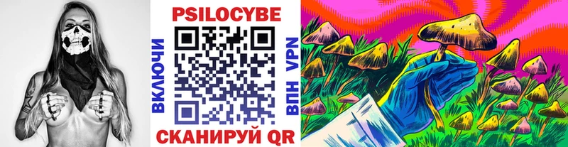 Галлюциногенные грибы Psilocybine cubensis Шилка